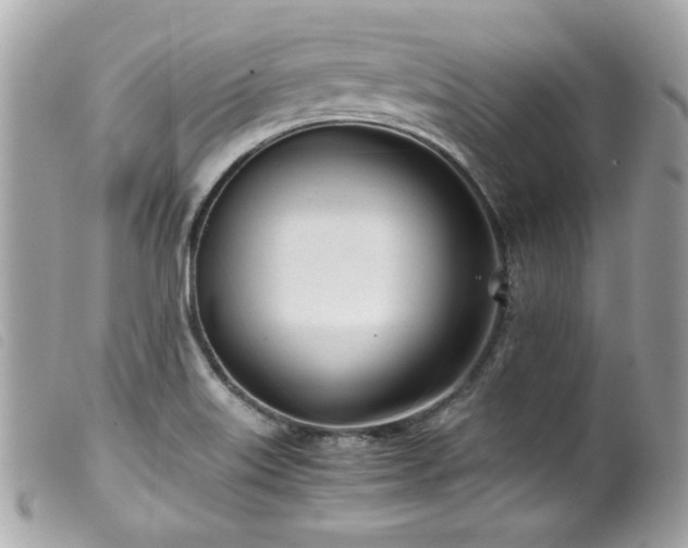 X0000100231515200805301401