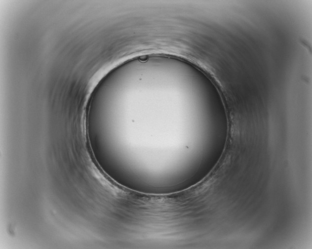 X0000100231516200805301401