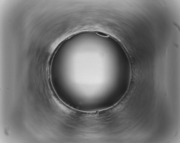 X0000100231519200805301401