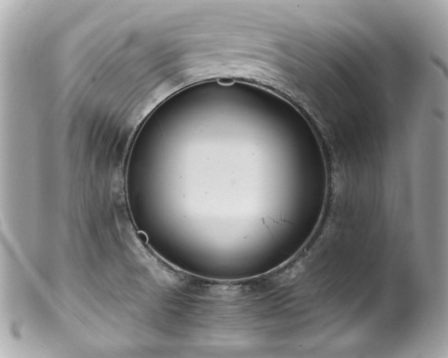 X0000100231521200805301401