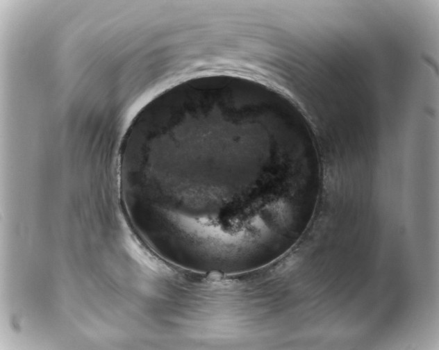 X0000100231522200805301401