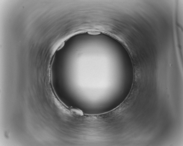 X0000100231524200805301401