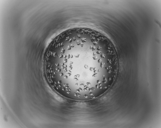 X0000100231525200805301401
