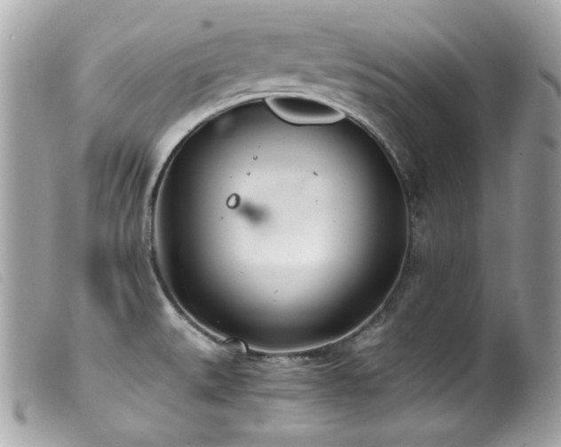 X0000100231527200805301401
