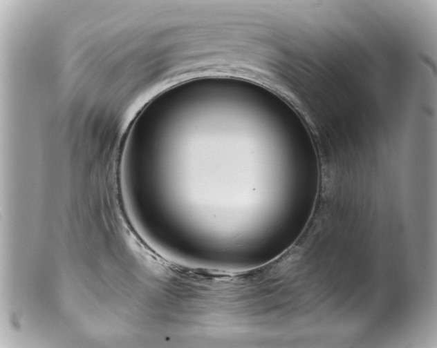 X0000100231530200805301401