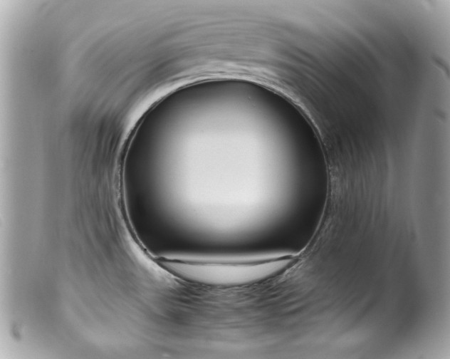 X0000100231531200805301401