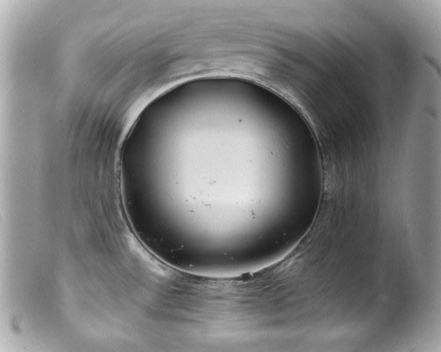 X0000100231532200805301401