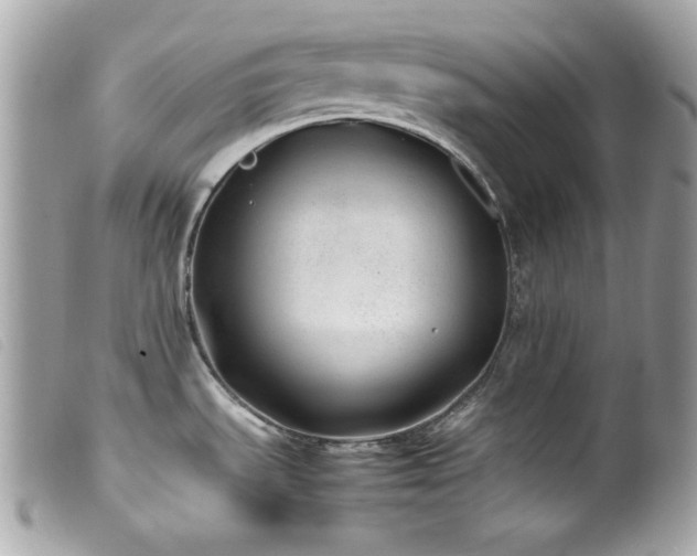X0000100231535200805301401