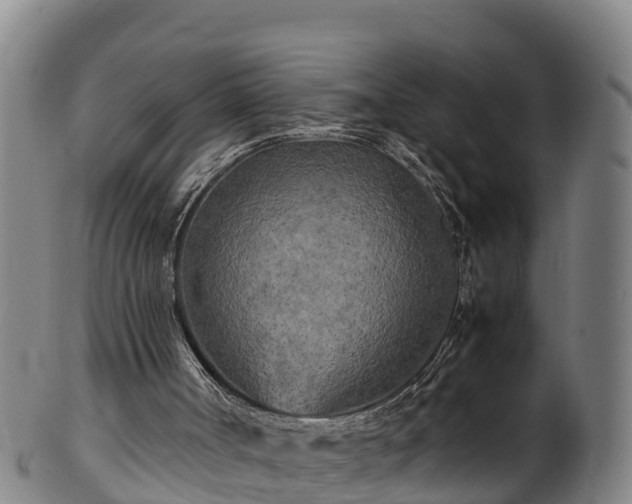 X0000100230002200806061420