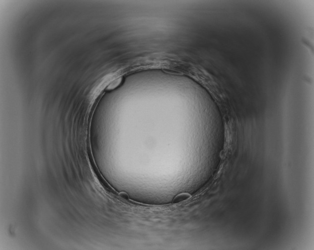 X0000100230003200806061420