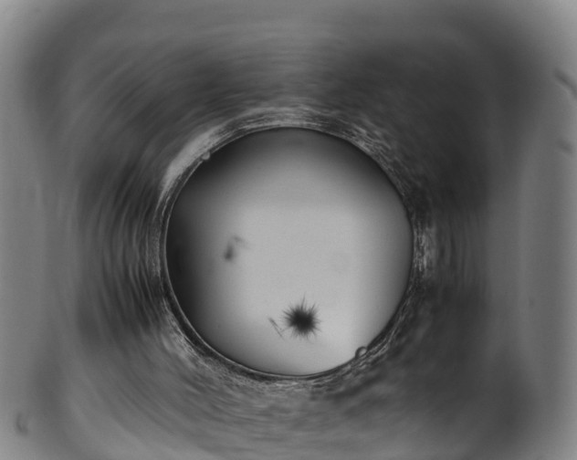 X0000100230004200806061420