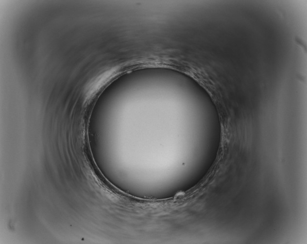 X0000100230005200806061420