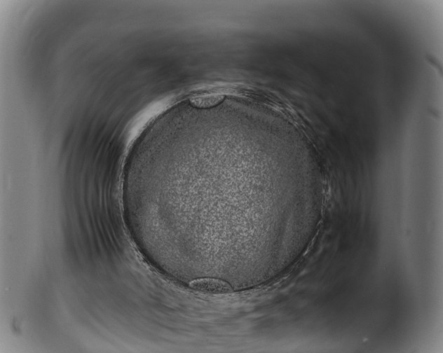 X0000100230006200806061420