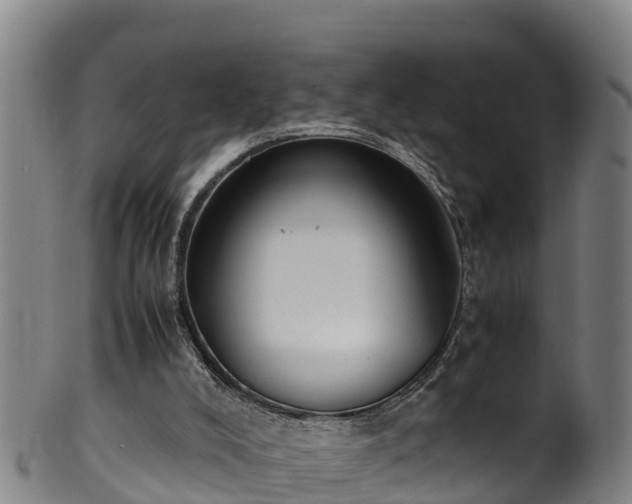 X0000100230008200806061420