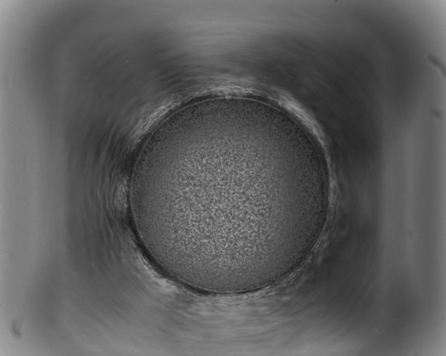 X0000100230009200806061420