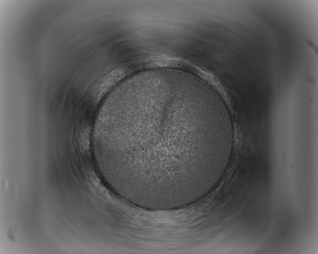 X0000100230010200806061420