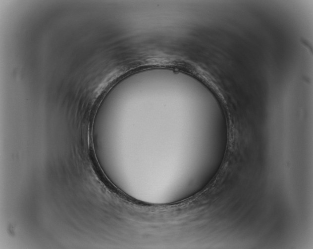 X0000100230011200806061420