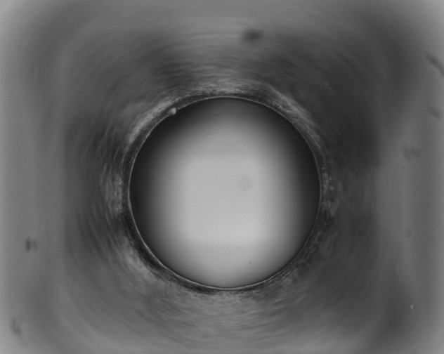 X0000100230012200806061420