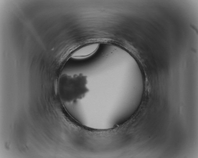 X0000100230013200806061420