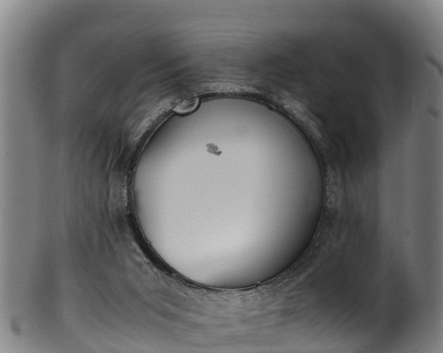 X0000100230015200806061420