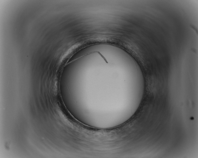 X0000100230016200806061420