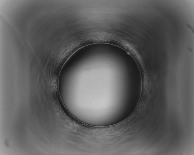 X0000100230017200806061420