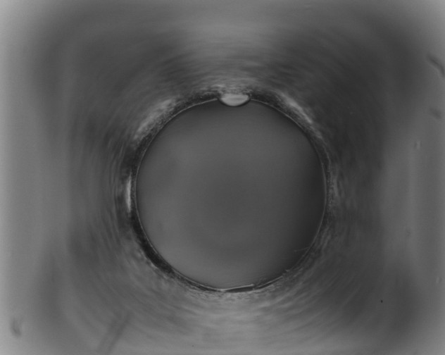 X0000100230019200806061420