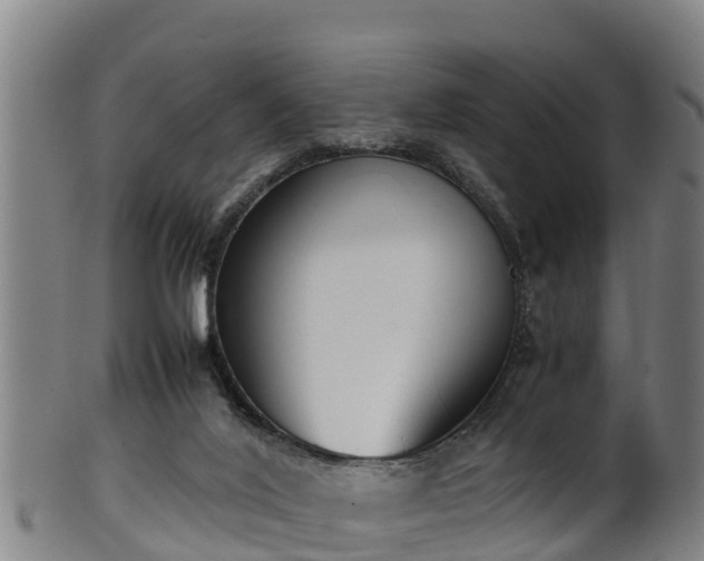 X0000100230020200806061420