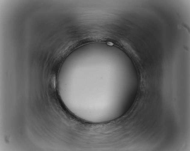 X0000100230021200806061420