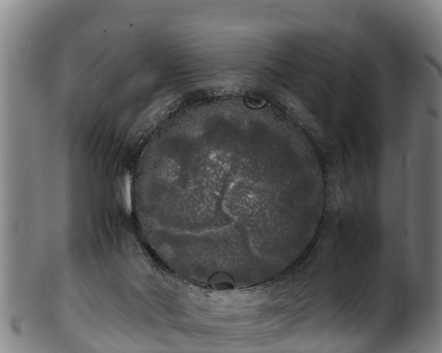 X0000100230022200806061420