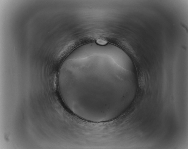 X0000100230023200806061420