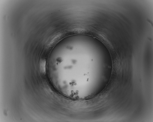 X0000100230024200806061420