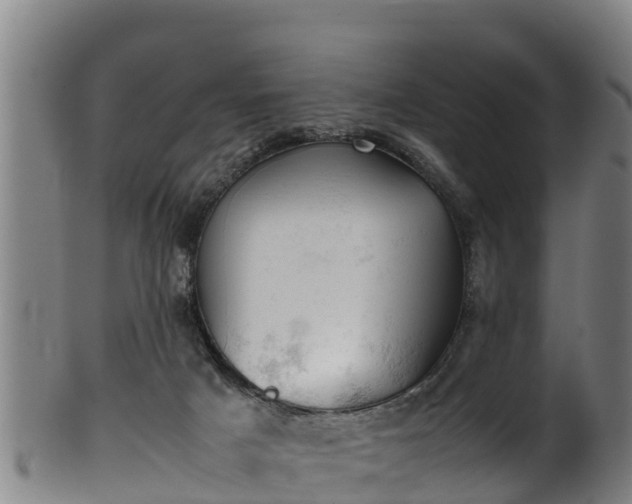 X0000100230025200806061420