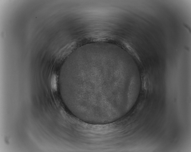 X0000100230026200806061420