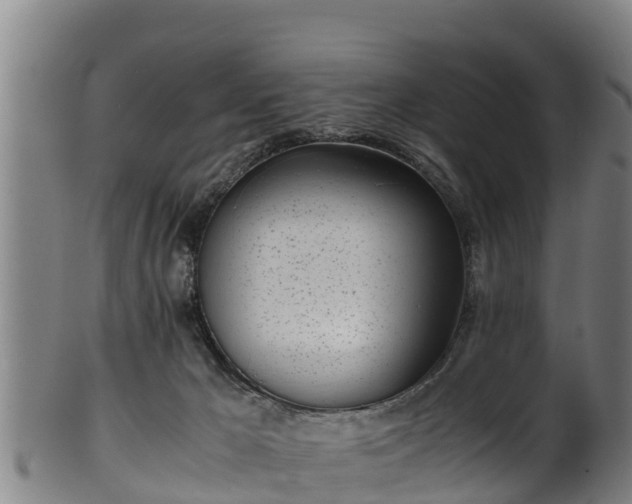 X0000100230029200806061420