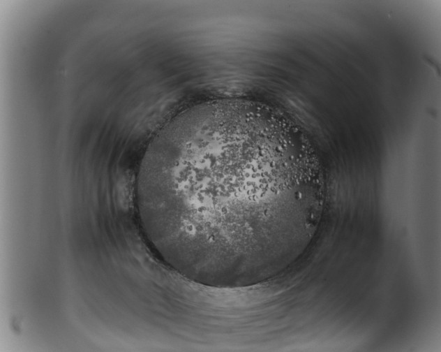 X0000100230030200806061420