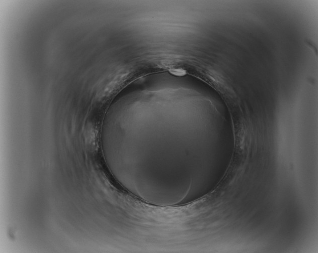 X0000100230031200806061420