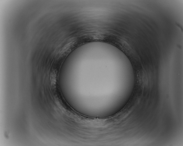 X0000100230032200806061420