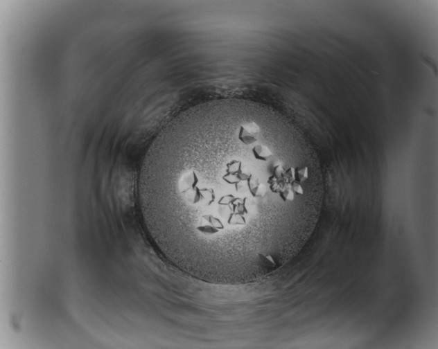X0000100230034200806061420