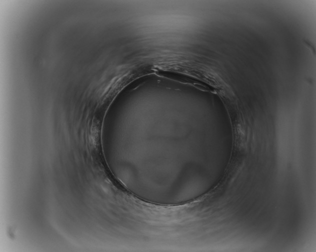 X0000100230035200806061420