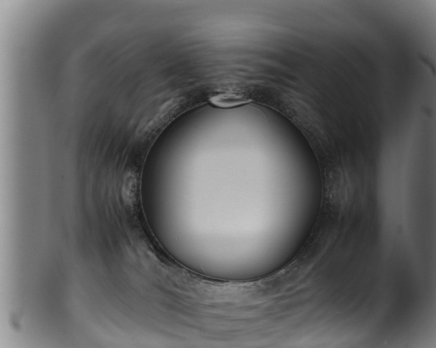 X0000100230036200806061420