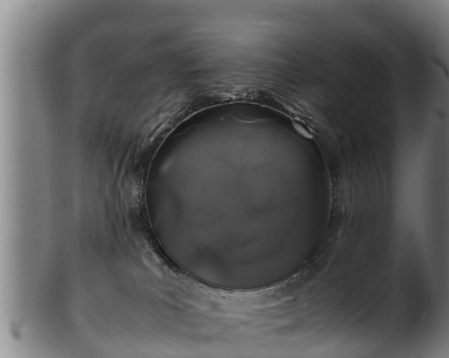 X0000100230039200806061420