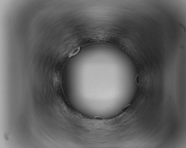 X0000100230040200806061420