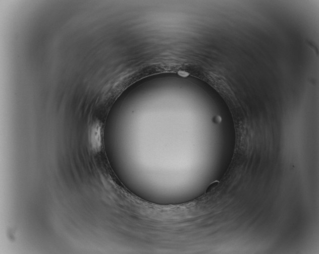 X0000100230042200806061419