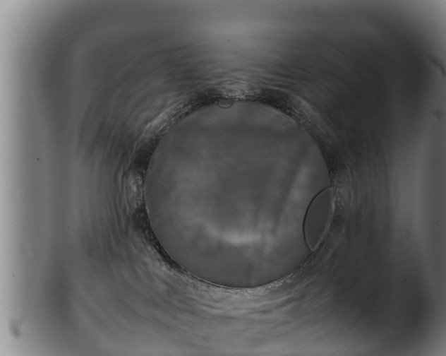 X0000100230043200806061419