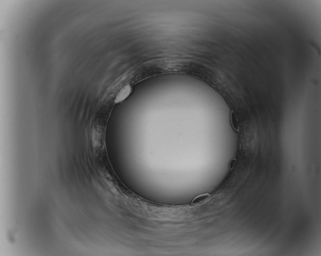 X0000100230044200806061419