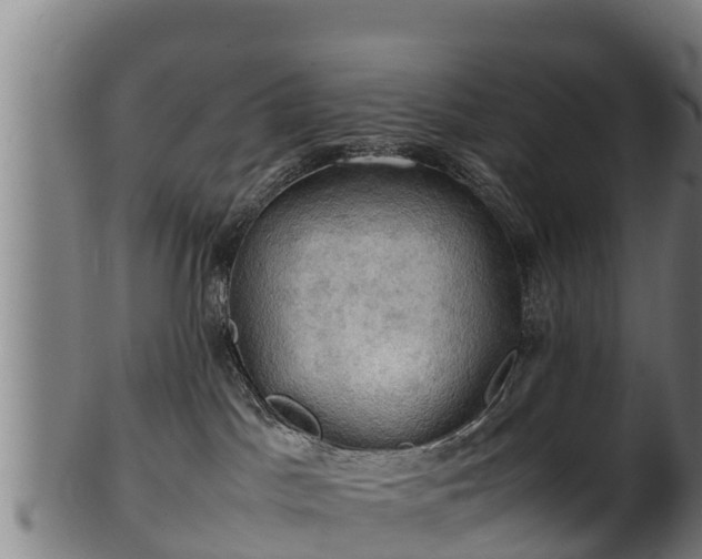 X0000100230045200806061419