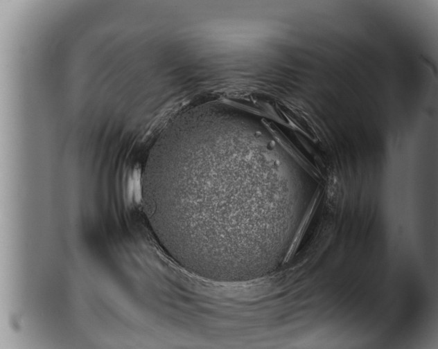 X0000100230046200806061419