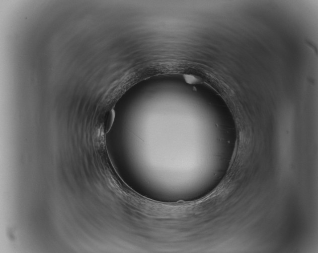 X0000100230048200806061419