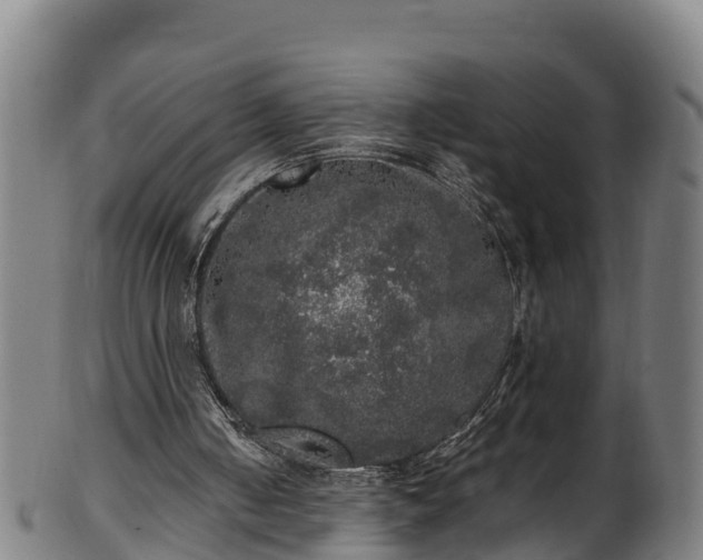 X0000100230050200806061419